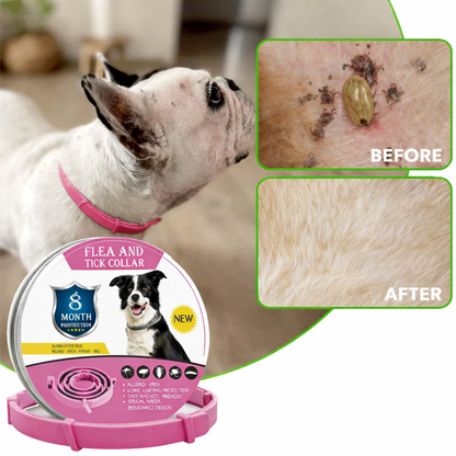 MAYA™ - 8 Months All Natural Flea and Tick Collar for Dogs