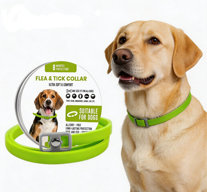 MAYA™ - 8 Months All Natural Flea and Tick Collar for Dogs